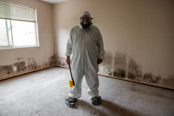 Mold Remediation for Rental Properties in Tooele, UT